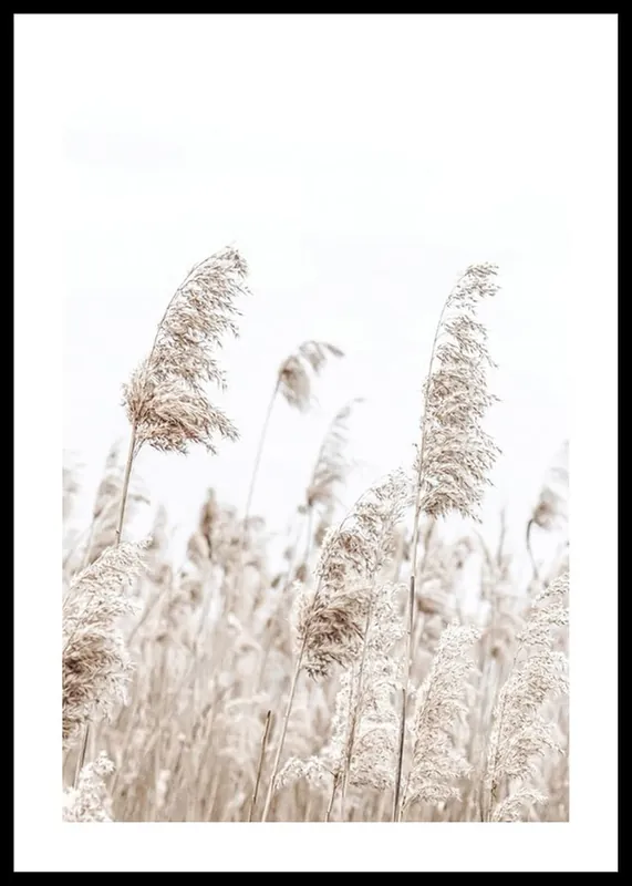 Boho Dried In Nature No5 Poster Preiswert