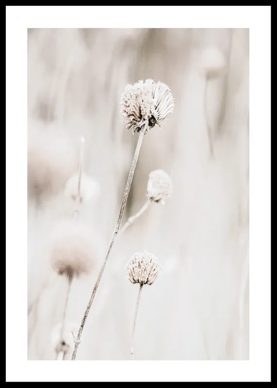 Dried Spring Flower Poster Top-Angebot