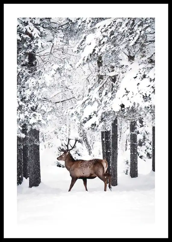 Kostenloser Rückversand Deer In Snow Poster