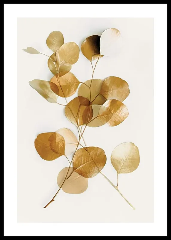 Eucalyptus Gold No4 Poster Solange Der Vorrat Reicht