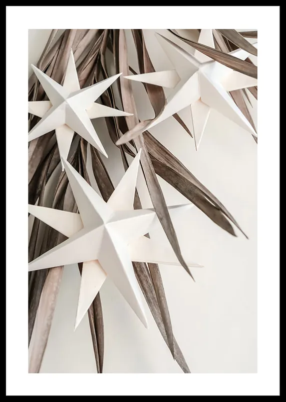 Paper Stars Poster Direkt Vom Hersteller