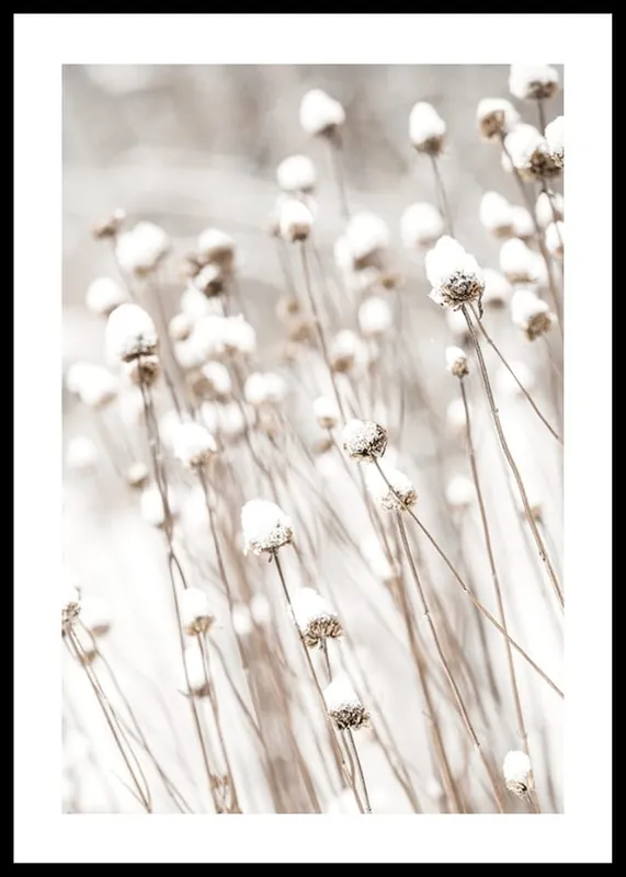 Preisknaller Snow Covered Dried Flowers Poster