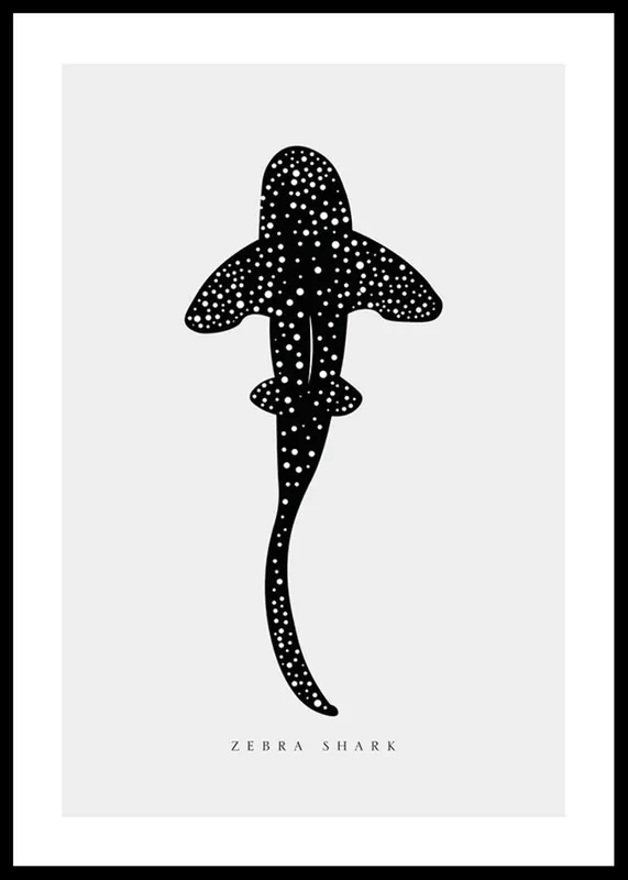 Wochenendangebot Zebra Shark Poster