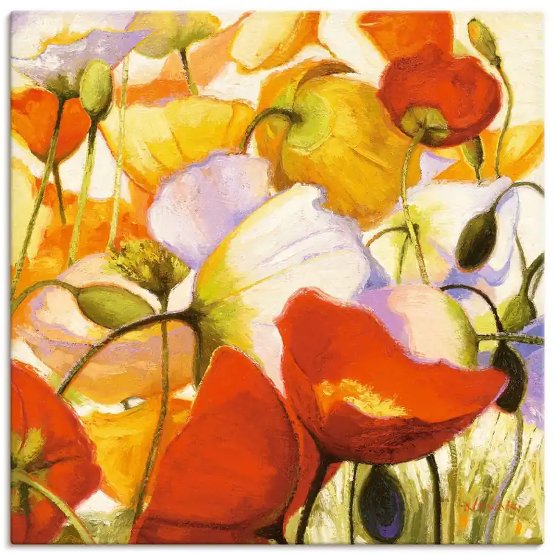 Mohnblumen aus der Nähe B2DS Wandbild Billig