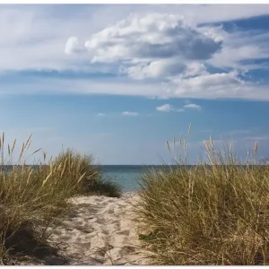 Neue Ware Ostseestrand in Dänemark T0ZZ Wandbild