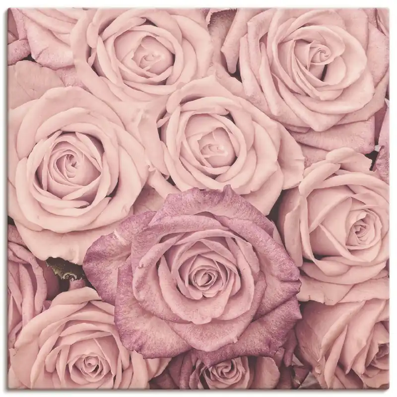 Angebot Rosen Q3PD Wandbild