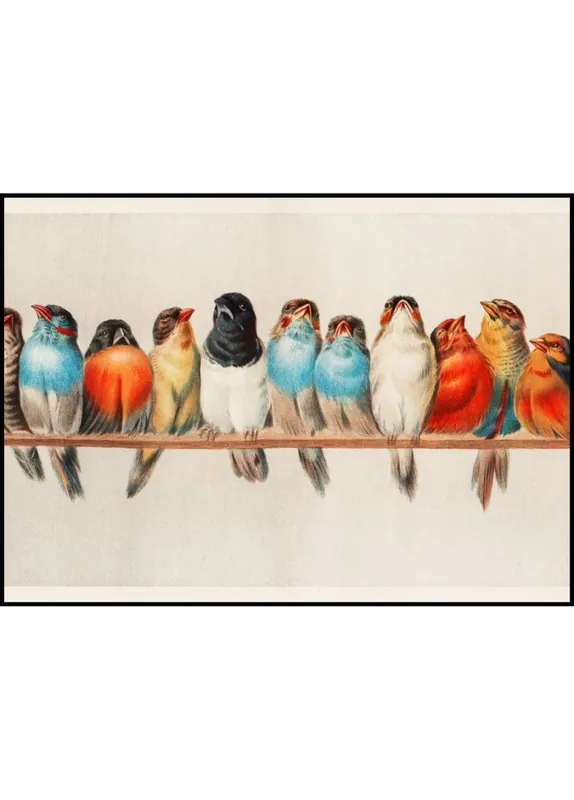 Ausverkauf Birds In a Row Vintage Poster