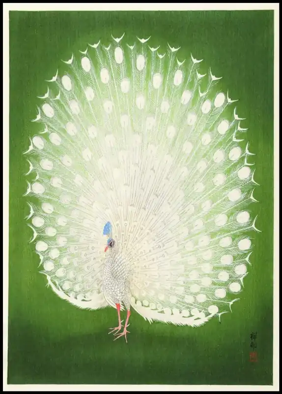 Expressversand Green Peacock Vintage Poster