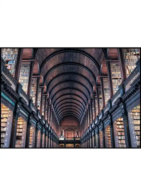 Trinity Library Poster Bestpreis