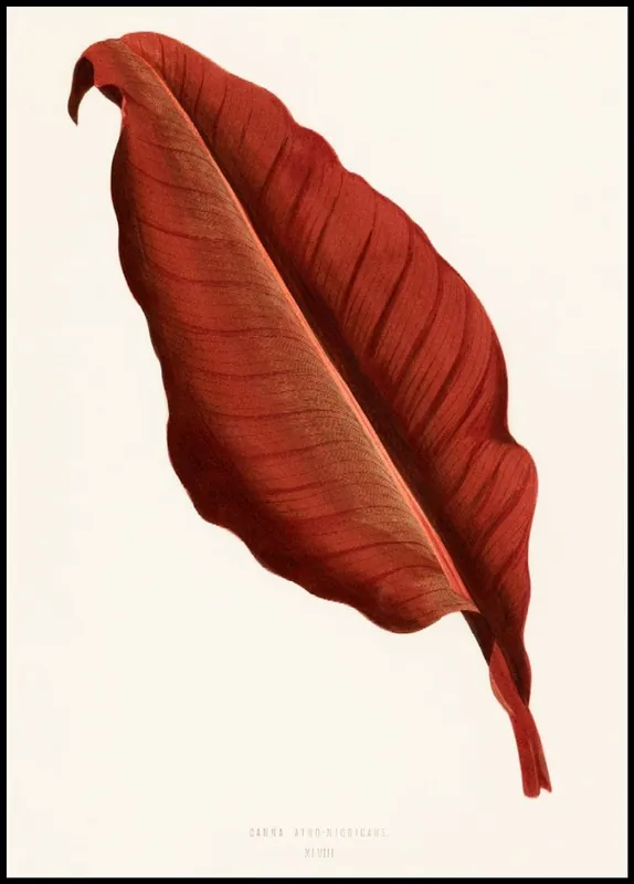 Beautiful Leaf Vintage Poster Beliebt