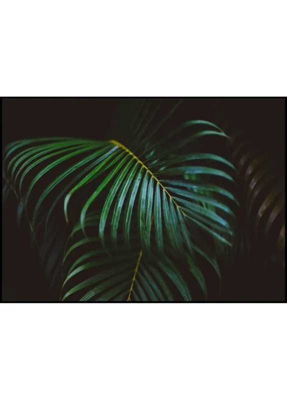 Palm Leaf Poster Markenware