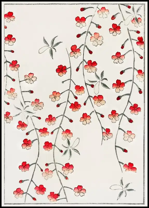 Bestpreis Cherry Blossom Illustration Poster