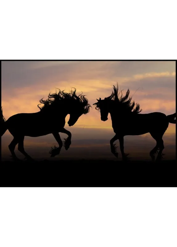 Silhouettes Of Horses Poster Billig