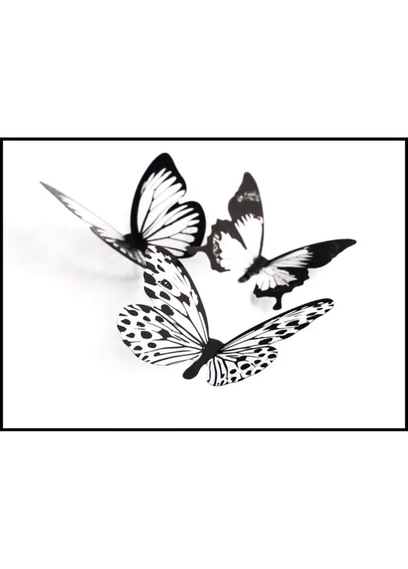 Butterflys In Black And White Poster Top-Seller