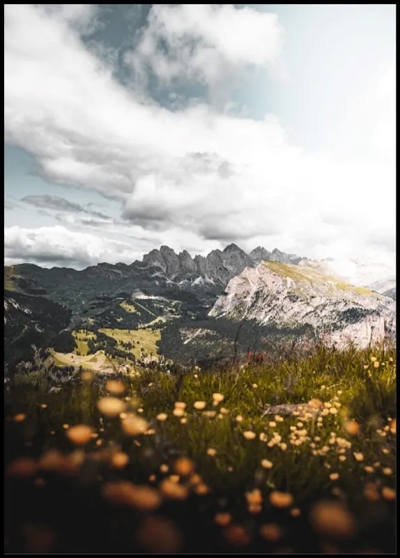 View In Alps With Flowers In The Foreground Poster Sonderangebot