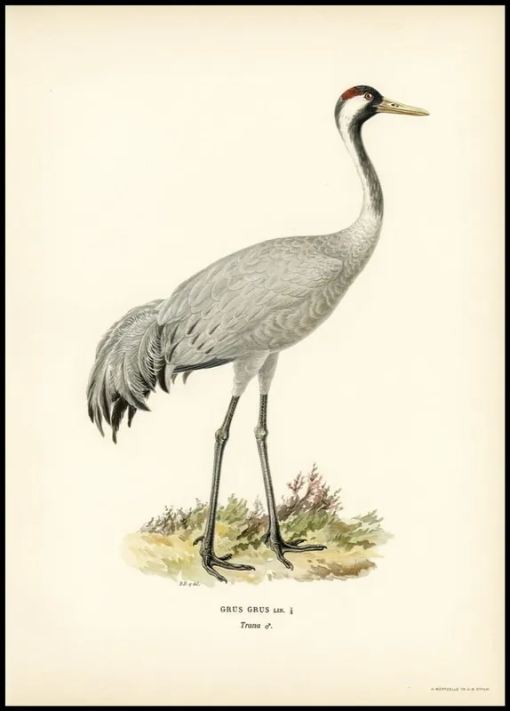 Vintage Crane Poster Kostenfreie Lieferung