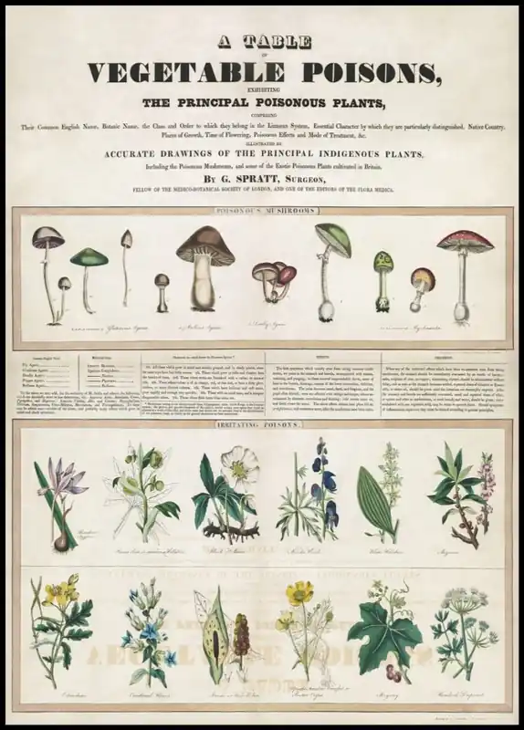 Super-Preis Vegetable Poisons Poster