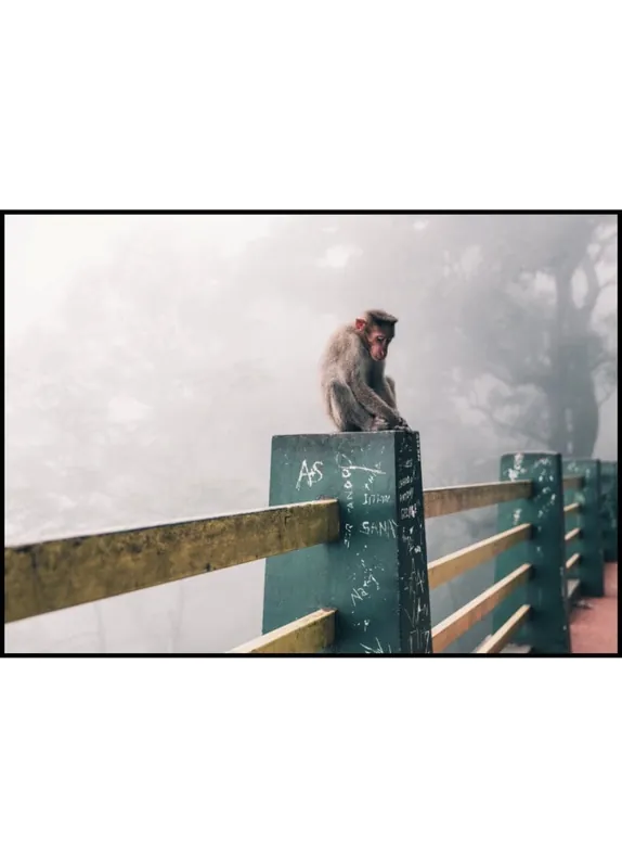 Urban Snow Monkey Poster Beliebt