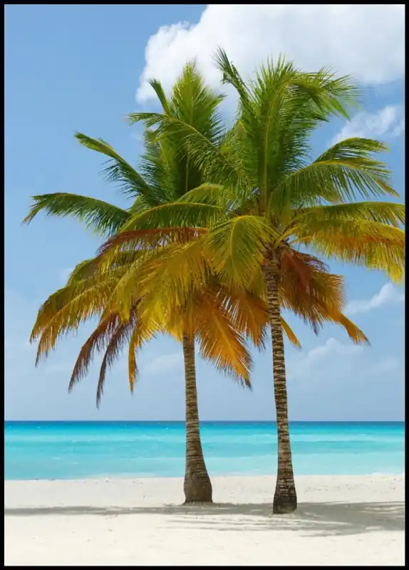 Ausverkauf Two Palmtrees On A White Sandy Beach Poster
