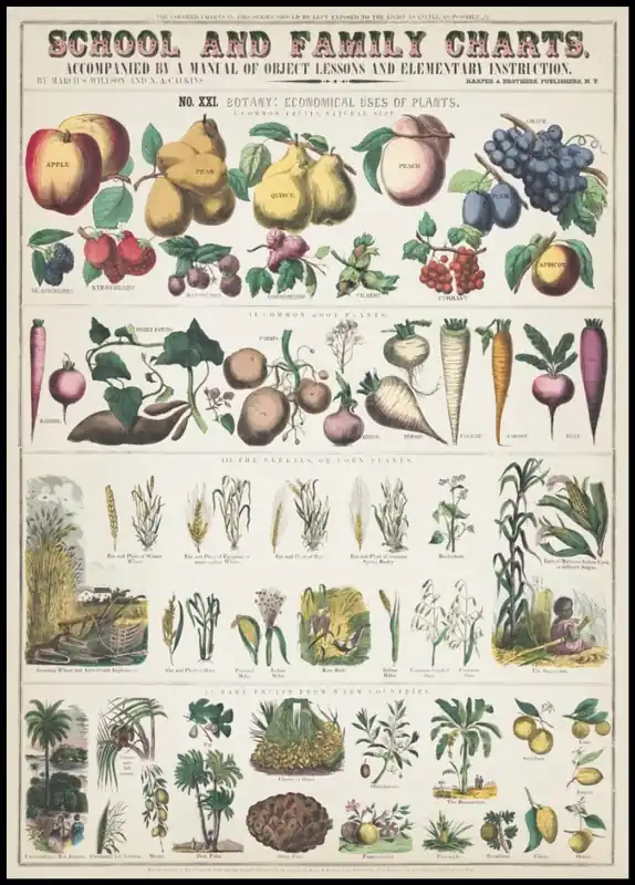 School and Family Charts Poster nr.1 Solange Der Vorrat Reicht