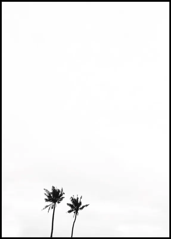 Highlight White Sky and Two Palm Trees Poster