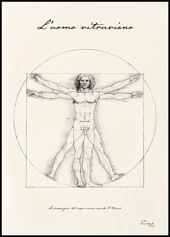 The Vitruvian Man Poster by Leonardo da Vinci Top-Preis