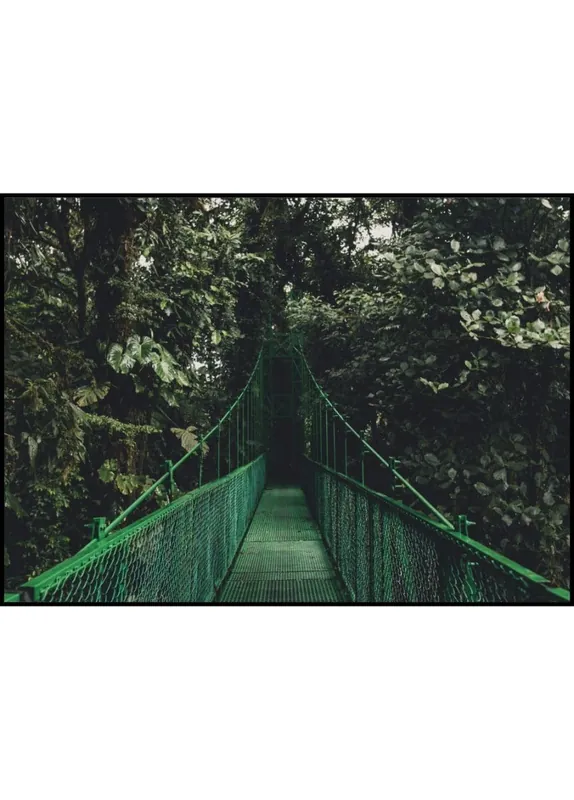 Gratis Versand Suspension Bridge In Green Forest Poster
