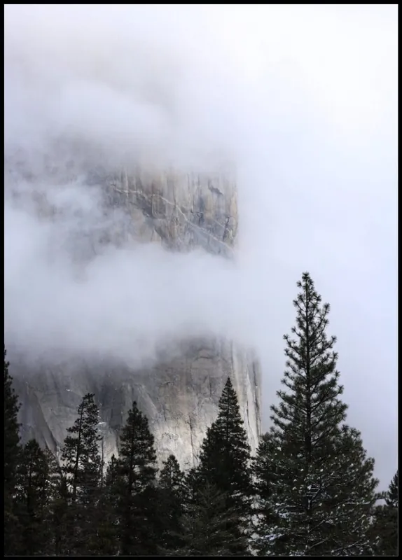 Neu Foggy Mountain Wall Poster