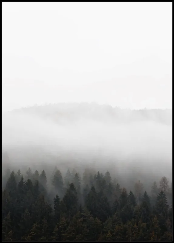 White Fog Green Forest Poster Kostenloser Rückversand