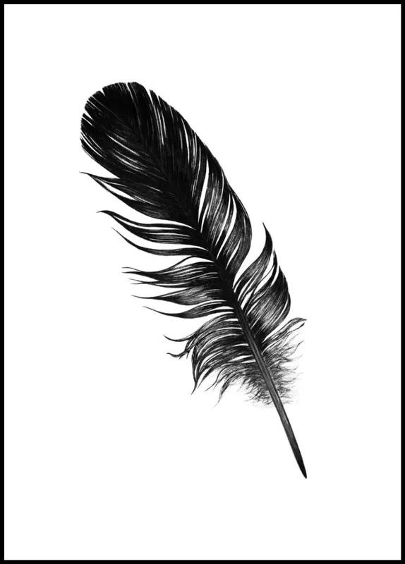 Black Feather Poster Finale Aktion