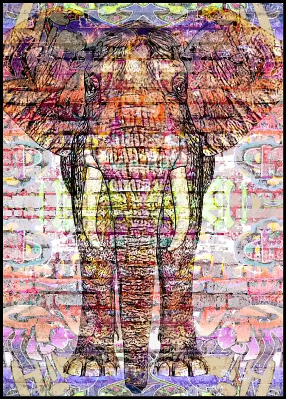 Brickwall Elephant Poster Zertifiziert