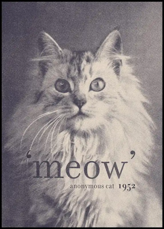Schneller Versand Famous Quote Cat Poster by Florent Bodart