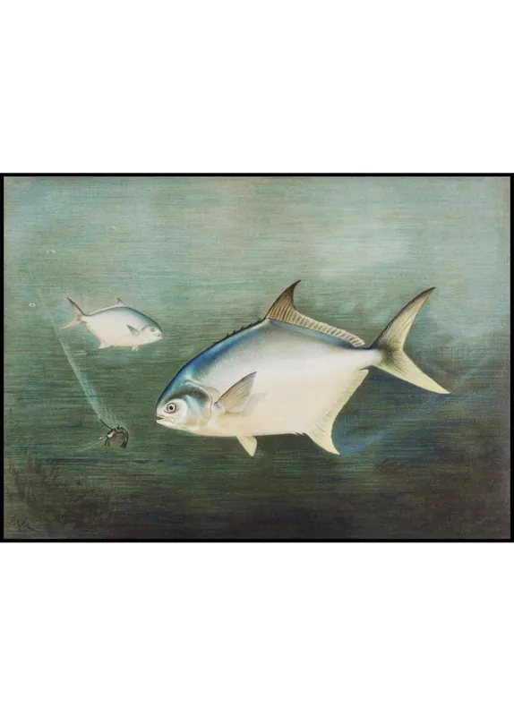 Versand Am Gleichen Tag Swimming Fish nr. 2 Poster