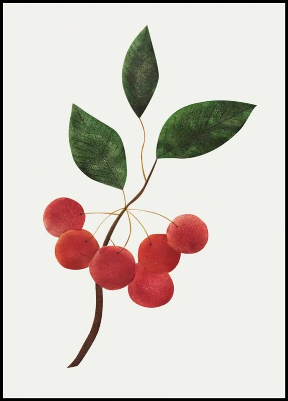 Cherries on a Branch Poster Neu Im Sortiment
