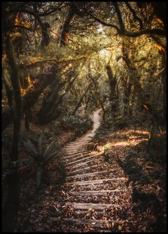 Sale Stairway Mount Taranaki Poster