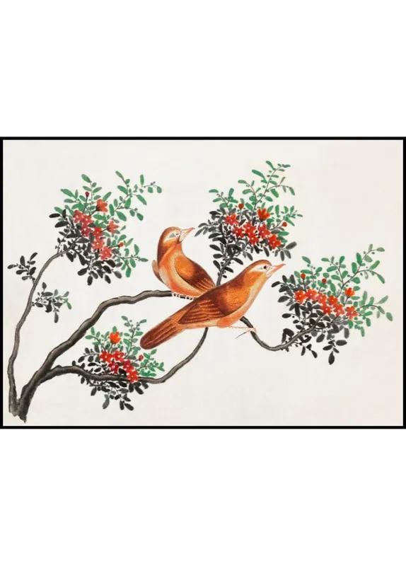 Neu Birds of China Poster