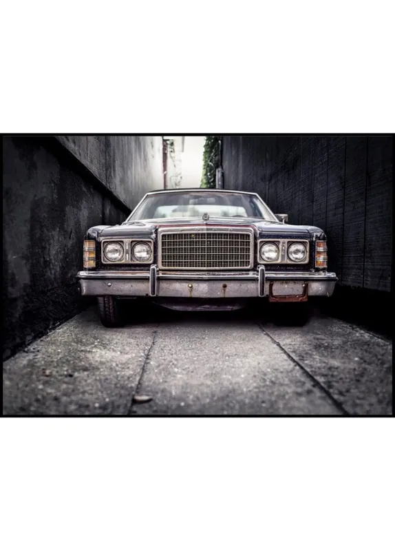Aktuell The Car Grill Poster