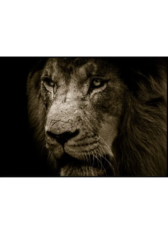 Heißes Angebot Closeup Scarred Lion Poster