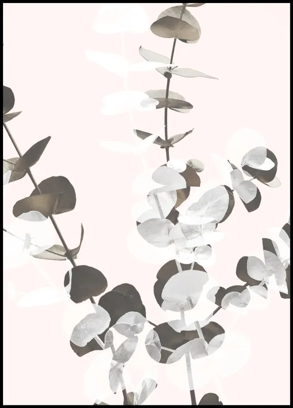 Beliebt Eucalyptus Creative nr. 2 Poster