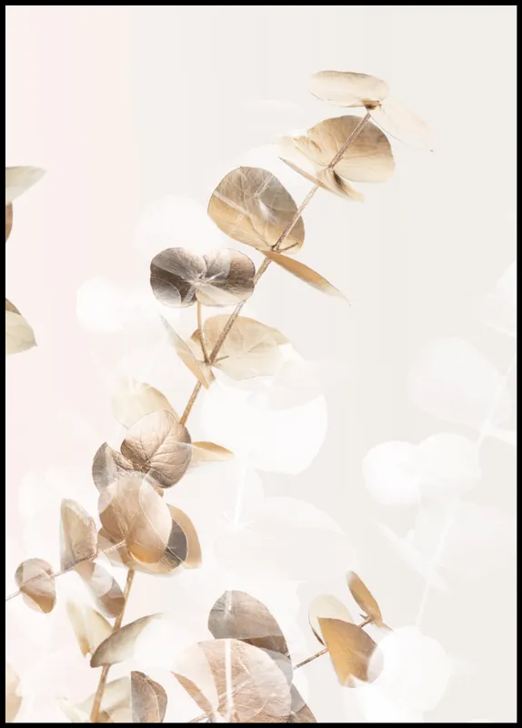 Golden Eucalyptus nr. 2 Poster Knallerangebot