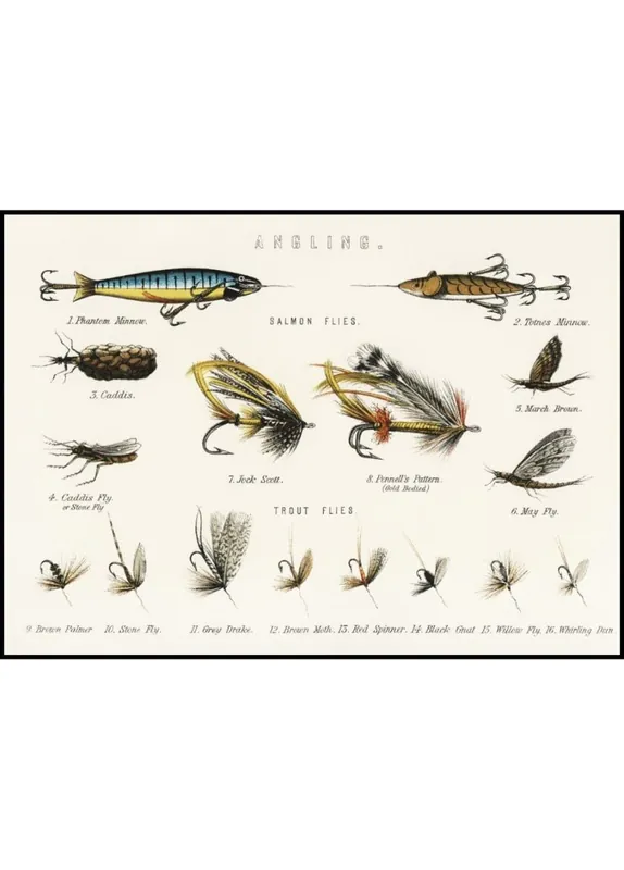 Online Kaufen Angling Baits Poster