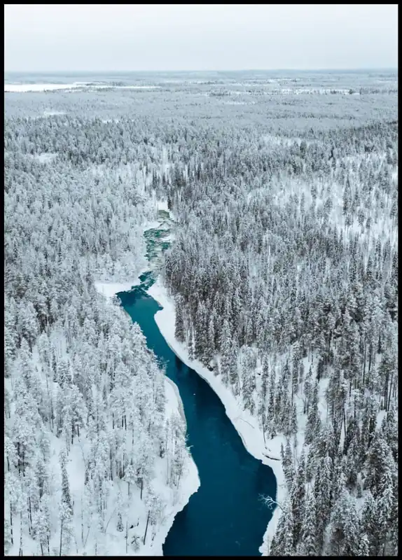Top-Seller Winter in Oulanka National Park Poster
