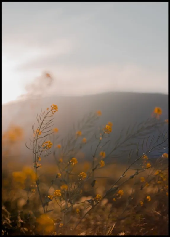 Kostenfreie Lieferung Late Summer Bloom Poster