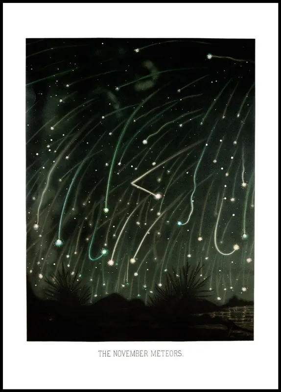 Garantierte Lieferung The November Meteors Illustration Poster