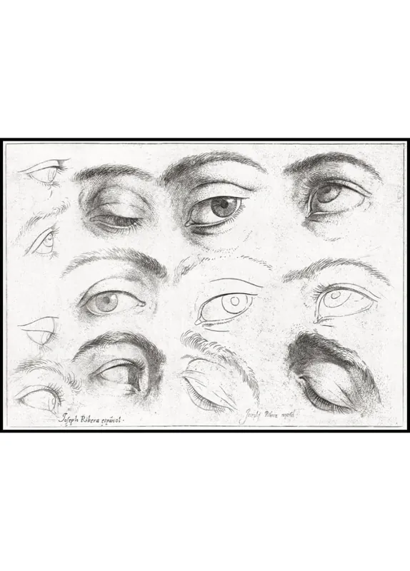Studie of Eyes Poster Preis Gesenkt