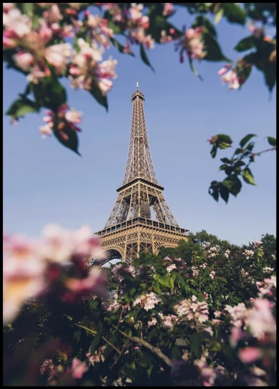 Eiffel Tower and Pink Flowers Poster Günstig