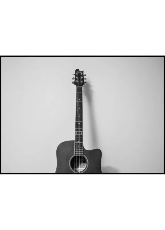 Argent Aucustic Guitar Poster Highlight