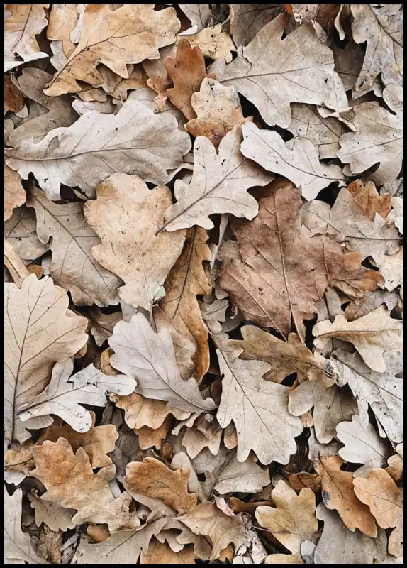 Neue Kollektion Fallen Leafs in Earthy colors Poster