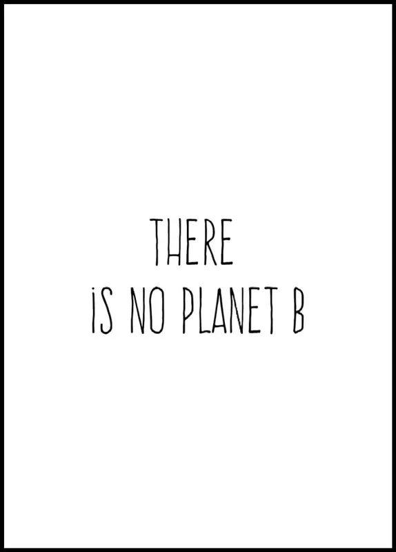 There Is No Panet B Zertifiziert