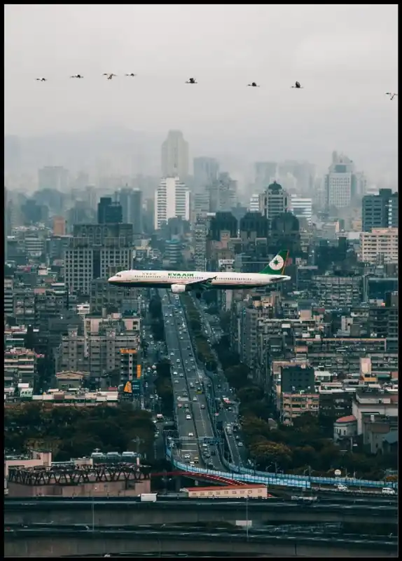 Sonderaktion Airplane and Birds Poster